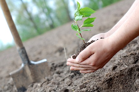 grow with career coaching